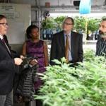 From left: State Senators Michael J. Rodrigues, Linda Dorcena Forry, and James Lewis met with Jim Elftmann, chief operating officer of RiverRock Cannabis.