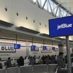 JetBlue?s service out of Worcester is likely to stay for the long haul, the chief executive of the Massachusetts Port Authority said. Pictured: The airline?s check-in area at John F. Kenned Airport in New York. 