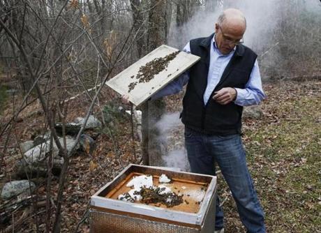 Wayne Andrews, a member of the Briston County BeeKeepers Association, displayed the bees in his hive at his home in North Dighton.
