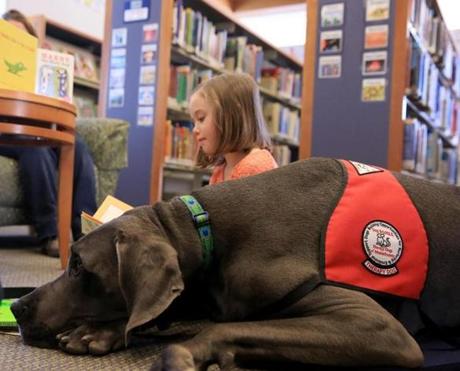 With Dash the Great Dane by her side, Madelyn Everett reads a story in the children?s section at the Hingham Public Library.
