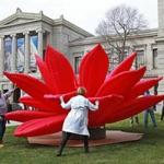 Seoul-based artist Choi Jeong Hwa's ?Breathing Flower? was installed on the lawn of the Museum Fine Arts on Wednesday.