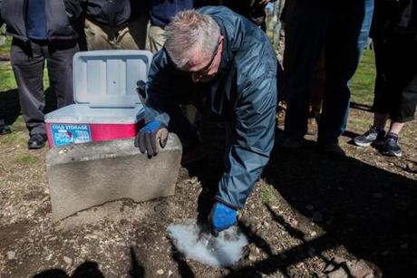  Boston, MA - 4/27/2016 - Chris McNally of the city of Boston's Inspectional Services fills rat burrows with dry ice to exterminate them at the Central Burying Ground during a demonstration on how the extermination is done for a workshop on rodent extermination in Boston, MA, April 27, 2016. (Keith Bedford/Globe Staff) 
