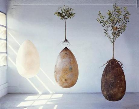 A biodegradable burial seed pod enables the decaying body to provide nutrients for a tree planted on top.
