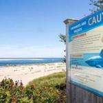 A sign in Chatham warned beachgoers of the presence of great white sharks last year.