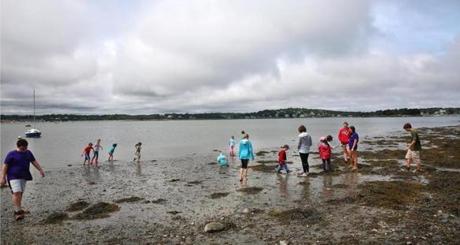 Hingham, MA--7/11/2016--Participants in Hands-On World's End, a summer camp for 5- to 11-year-olds, explore at the side beach off Martin's Cove. Activity at World's End is photographed, on Monday, July 11, 2016. There are plans to expand parking in response to increased use of the conservation land in Hingham. Photo by Pat Greenhouse/Globe Staff Topic: soworldsend Reporter: Johanna Seltz 

