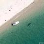 Researchers spotted the shark close to the family?s boat. 