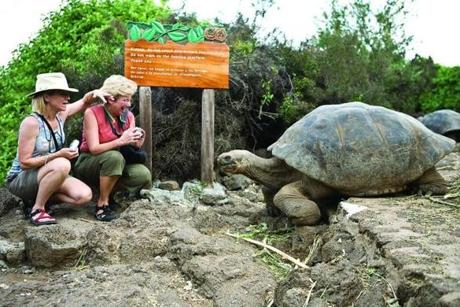 Visitors at the Charles Darwin research center on Santa Cruz Island in Galapagos, Ecuador.
