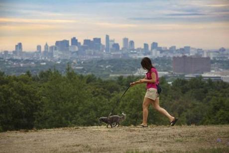 8/16/16 - Arlington, MA - Robbins Farm Park - Pam Fisher, cq, of Arlington, takes her 6-year-old dog Hank, cq, for their morning walk in Arlington's Robbins Farm Park as the sun and clouds battled it out above the Boston Skyline. Photo by Dina Rudick/Globe Staff
