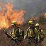 Firefighters battle the Bluecut Fire along Swarthout Canyon Road in the Cajon Pass, north of San Bernardino, Calif., Tuesday August 16, 2016. The blaze 60 miles east of Los Angeles has burned what appear to be several ranch outbuildings and forced evacuations in and around Lytle Creek. () MANDATORY CREDIT