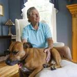 Westborough, MA - 8/9/2016 - Dr. Nick Dodman, a retired pet psychologist, pets his dog Rusty in his home in Westborough, MA, August 9, 2016. (Keith Bedford/Globe Staff) 