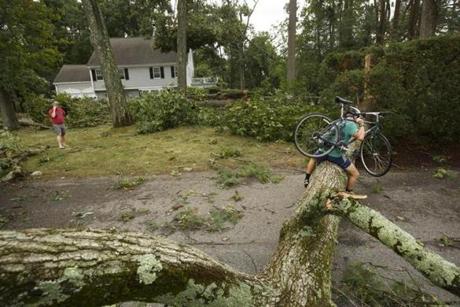 Jacob Meyerson tried to drag his bicycle over a downed tree to return to his home.
