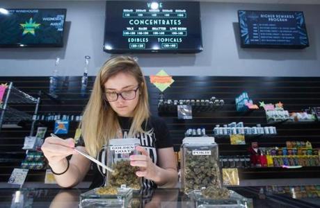 An employee laid out a display of manicured marijuana buds at the Pueblo West Starbuds dispensary.
