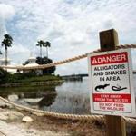Signs warn of alligators and snakes near Seven Seas Lagoon.