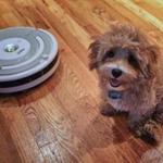 The Roomba has become a part of families almost as much as pets, even to the point of people naming their vacuum bots.