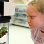Julia Bonner, 16, of Canton looked at a green iguana at Petco in Needham.
