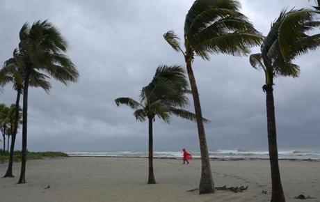 Winds caused palm trees at Hollywood Beach to sway during Hurricane Matthew.
