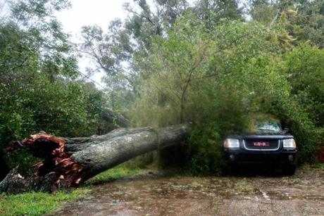 ORMOND BEACH, FL - OCTOBER 7: A downed tree from high winds rests against a car in a residential community after Hurricane Matthew passes through on October 7, 2016 in Ormond Beach, Florida. Florida, Georgia, South Carolina and North Carolina have all declared a state of emergency in preparation for Hurricane Matthew. (Photo by Drew Angerer/Getty Images)

