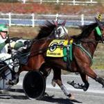Plainville MA 11/04/16 A harness jockey driving his horse down the final straight during harness racing at the Plainridge Park Casino. (Photo by Matthew J. Lee/Globe staff) topic: 09harness(2) reporter: Sean Murphy