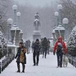 Boston-12/17/2016- The first significant snow blanketed the region, as people came out to enjoy the snow in the Boston Public garden. JohnTlumacki/Globe Staff(metro)