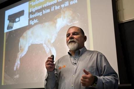 Dec. 12, 2016 - Former dog fighting investigator Terry Mills stands in front of a slide showing a picture of a dog who was shot by his owner for refusing to fight another dog during a lecture at Tuft's Cummings School of Veterinary Medicine in North Grafton Mass. to law enforcement, animal rights activists and animal control officers on dog fighting. Photo credit: Justin Saglio for the Boston Globe. Section: Metro. Reporter: Cristela Guerra. Slug: 13dog(2)
