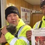 Electricians from Local 103 posed with Juno after finding the feline along a steel girder on I-93 this week. 