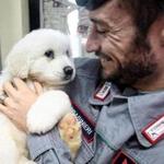 An officer held up one of the three puppies that were found alive in the rubble of the avalanche-hit Hotel Rigopiano, near Farindola, central Italy.