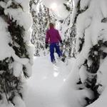 Grace Wright snowshoed through the woods just off Mount Hood?s Glade Trail.