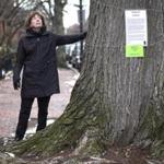 Margaret Pokorny was one of many local residents who raised funds to help keep the tree alive. 