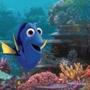?Finding Dory?