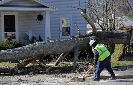 A crew in Woburn worked to clean up after a tree was felled by high winds on Cambridge Road.  
