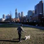 A man and his puppy played on the Rose Fitzgerald Kennedy Greenway in Boston earlier this month.  