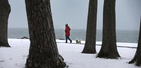 A woman walked her dog along the Plymouth Waterfront Friday morning. 
