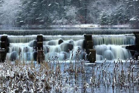 Snow covers cattails near the Indian Head River dam in Pembroke.
