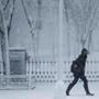 A woman walked along Commonwealth Avenue as snow fell in Boston on Tuesday.