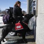 Carolyn Barrett?s service dog, Shadow, presses the button to open an automated door. She says bogus service dogs make her dog less accepted. 