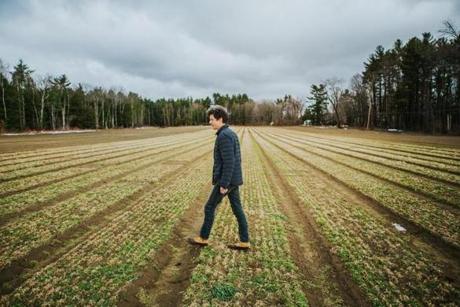 Ted Dobson walks a field on his farm in Sheffield that he hopes will someday be filled with marijuana plants.
