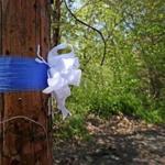 A ribbon tied to a telephone pole near the area where Michael Doherty went missing. 