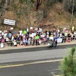 Demonstrators stood across the street from the Vista, Calif., office of Representative Darrell Issa, a California Republican.