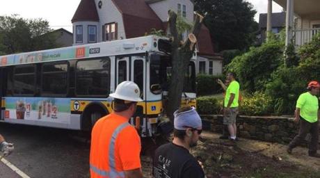 An MBTA bus struck a tree on Massachusetts Avenue in Arlington on Tuesday.
