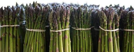 06/10/17 -- Concord, MA -- New bundles of freshly harvested asparagus are seen at Verrill Farm on June 10, 2017, in Concord, Massachusetts. (Kayana Szymczak for The Boston Globe)
