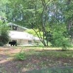 This bear was spotted in a yard on Oxbow Road in Concord.
