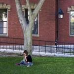 A student relaxed in Harvard Yard earlier this month.