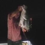 Jason Bearce had his striper torn in half by a great white shark while fishing in Cape Cod Bay last Friday.