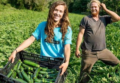 Lead farmers Steph Moran (left) and Will Morningstar with a tiny portion of the bountiful zucchini crop from the fields at Allandale Farm. 
