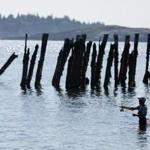 Chad Costello tried his luck near old wharf pilings off Popham Beach in Maine. 