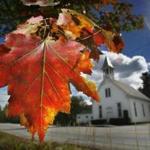 FILE - In this Sept. 17, 2010 file photo, a maple tree shows its fall colors in Woodstock, Maine. New England's 2017 fall foliage forecast is very favorable for leaf peeping. (AP Photo/Robert F. Bukaty, File)