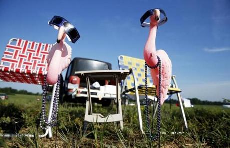 ECLIPSE SLIDER1 Hopkinsville, KY -- 8/19/2017 - Pink flamingos named Fred (L) and Matilda have their solar glasses on as they wait for the show to start at the point of greatest eclipse. (Jessica Rinaldi/Globe Staff) Topic: 22nestorpic Reporter: Nestor Ramos
