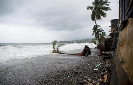 MARIA SLIDER2 A picture shows an uprooted tree on the beach in Saint-Pierre, on the French Caribbean island of Martinique, after it was hit by Hurricane Maria, on September 19, 2017. Martinique suffered power outages but avoided major damage. / AFP PHOTO / Lionel CHAMOISEAULIONEL CHAMOISEAU/AFP/Getty Images
