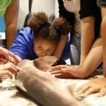 Olivia Ivy, 10, of Malden (center) got an up close look at a dogfish shark as she and other girls gathered with female scientists to dissect a dogfish shark as part of the 