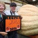 Topsfield MA 9/30/16 Steve Connolly and his wife, Nancy, of Sharon MA with their first place winning pumpkin 2,075.5 lbs during the 32nd All New England Giant Pumpkin Weigh-Off at the Topsfield Fair on Friday September 30, 2016. (Photo by Matthew J. Lee/Globe staff) 